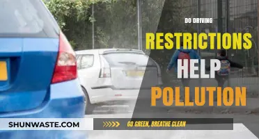 Driving Restrictions: Pollution Solution or Not?