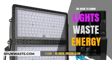 Are Dusk to Dawn Lights Energy Efficient or Wasteful?