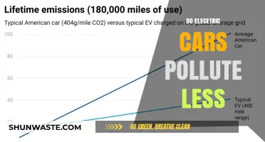 Electric Cars: Less Pollution, More Questions