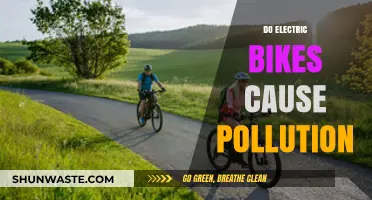 Electric Bikes: Green or Greenwashing? Debunking Pollution Myths