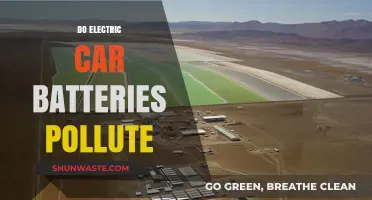 Electric Car Batteries: Polluting or Not?