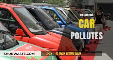 Electric Cars: Pollution-Free or Not?