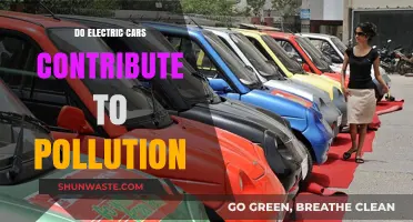 Electric Cars: Pollution Solution or Problem?