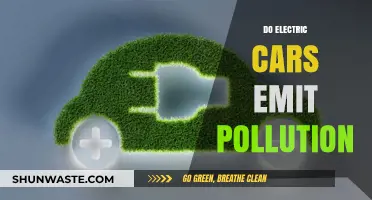 Electric Cars: Emitting Pollution or a Clean Future?