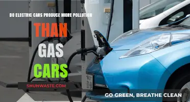 Electric Cars: Polluters or Environmental Saviours?
