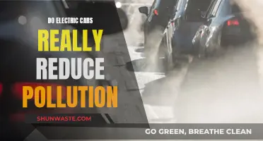 Electric Cars: Pollution Solution or Environmental Threat?