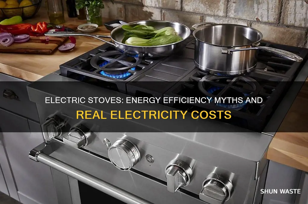 do electric stoves waste a lot of electricity