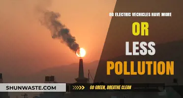 Electric Vehicles: Less Pollution, More Questions