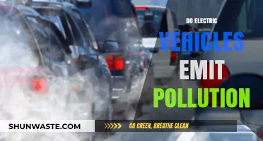 Electric Vehicles: Emission-Free or Polluting?