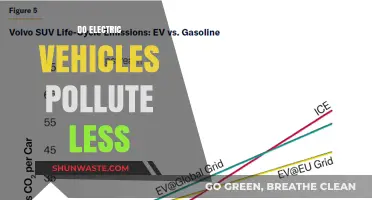 Electric Vehicles: Less Pollution, More Benefits?