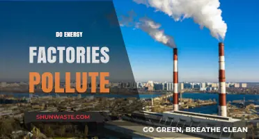 Energy Factories: Polluters or Environmentally Friendly?
