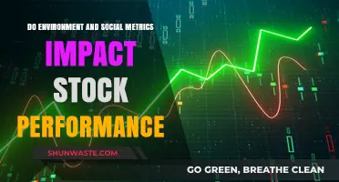 Environment and Social Metrics: Do They Influence Stock Performance?