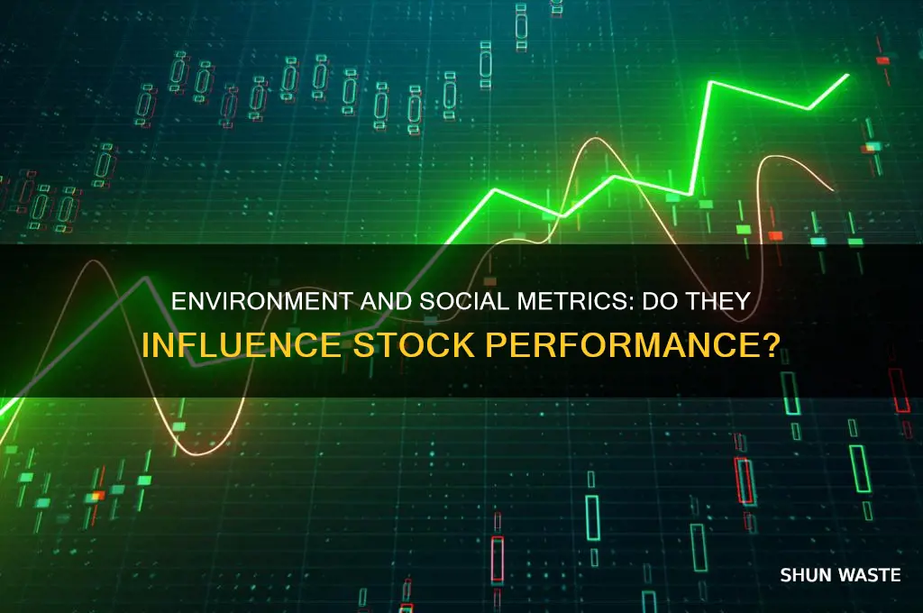 do environment and social metrics impact stock performance