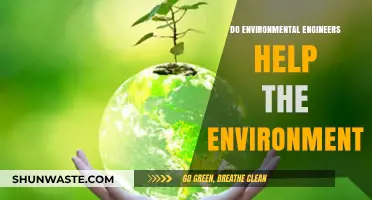 Environmental Engineers: Key Players in Protecting and Restoring Our Planet