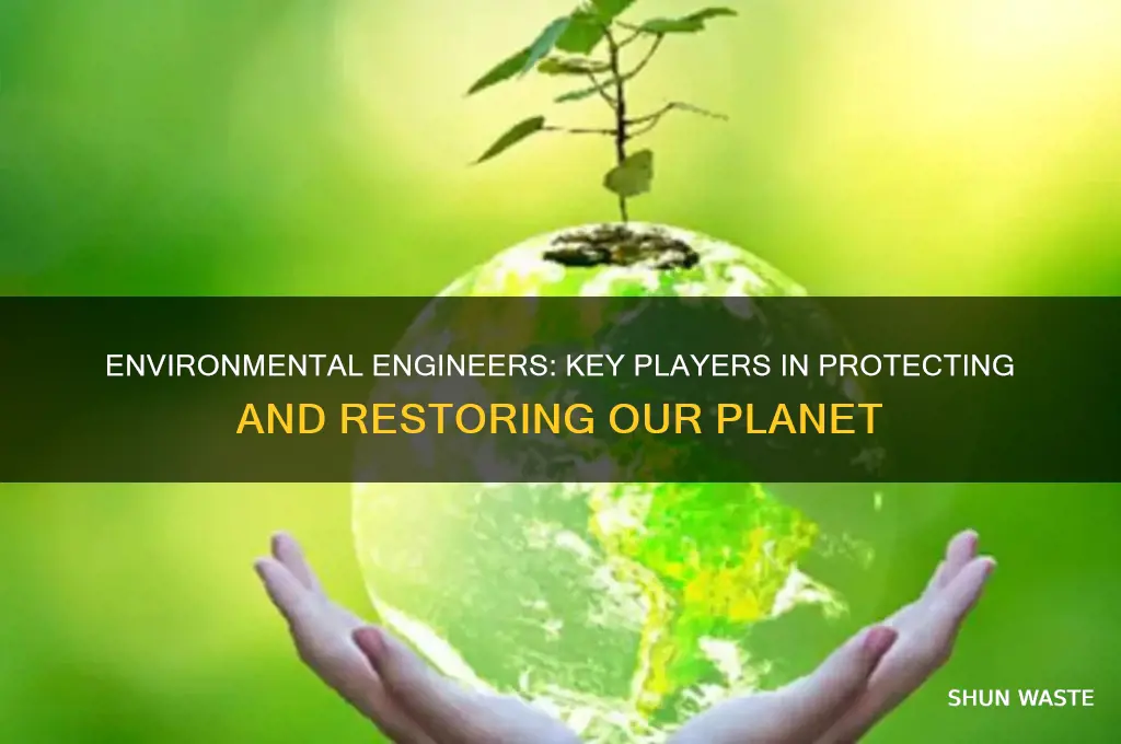 do environmental engineers help the environment