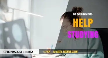 Boost Your Focus: How Environments Enhance Effective Studying Habits