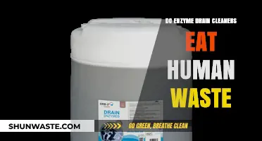 Can Enzyme Drain Cleaners Effectively Break Down Human Waste?