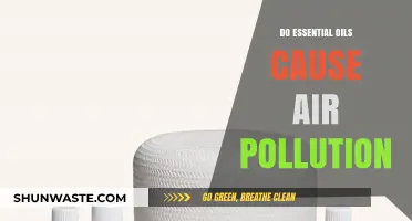 Essential Oils and Air Quality: Unveiling the Truth