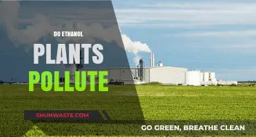 Ethanol Plants: Polluters or Green Energy?