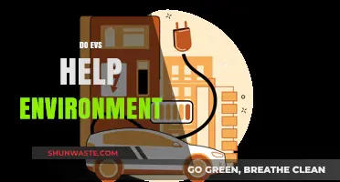 Electric Vehicles: A Green Revolution or Environmental Myth?