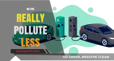 The Green Myth: Do EVs Really Pollute Less?