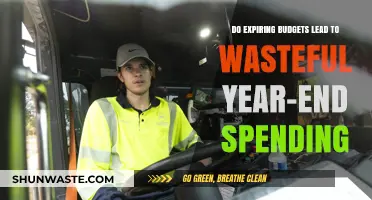 Expiring Budgets: Do They Drive Wasteful Year-End Spending?