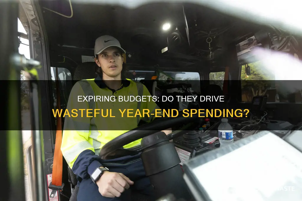 do expiring budgets lead to wasteful year-end spending