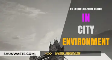 Extraverts Thrive in Cities: Exploring Urban Environments and Personality Fit