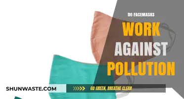Face Masks: Effective Pollution Protection?