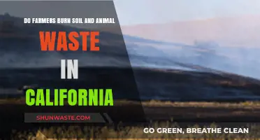 California's Agricultural Practices: Burning Soil and Animal Waste Explained