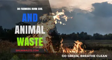 Farmers' Practices: Burning Soil and Animal Waste Explained