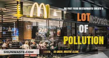 Fast Food's Environmental Impact: Pollution and Waste