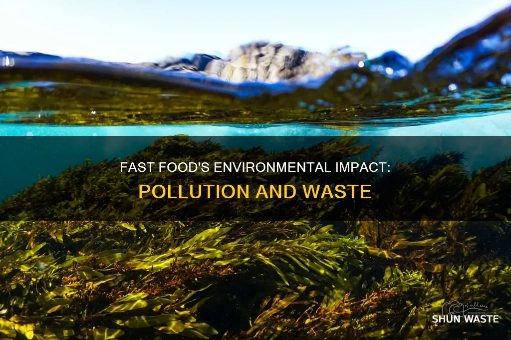 do fast food restaurants create a lot of pollution