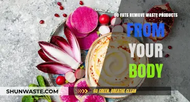 How Fats Aid in Eliminating Toxins and Waste from Your Body