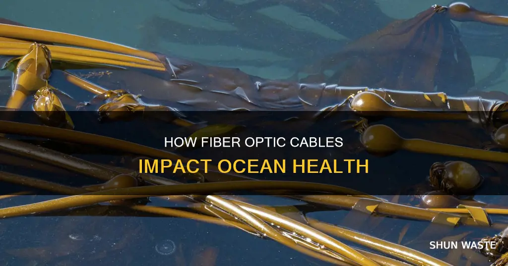 do fiber optic cables pollute the ocean