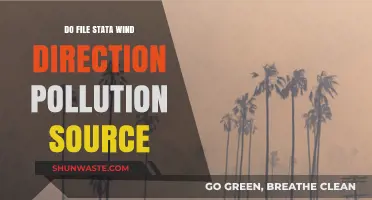 Stata File Analysis: Wind, Pollution, and Directional Insights