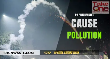 Firecrackers and Their Environmental Impact: Unveiling the Pollution Mystery