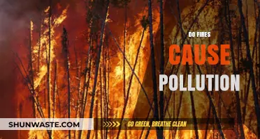 Fires and Their Impact: Unveiling the Pollution Mystery