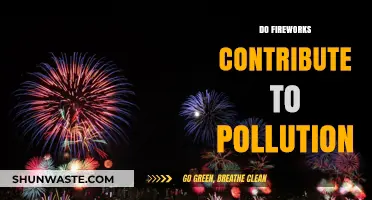 Fireworks: Fun or Polluting Flares?