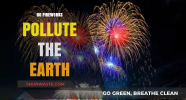 Fireworks: Fun or Environmental Disaster?