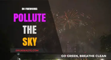 Fireworks: A Beautiful but Polluting Sky Event