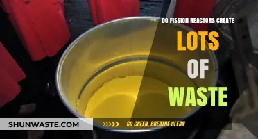 Fission Reactors and Waste: Uncovering the Environmental Impact and Solutions