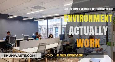 Flex Time and Alternative Work Environments: Do They Really Work?