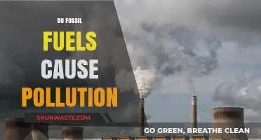 Unveiling the True Impact: Fossil Fuels and Pollution