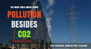 Fossil Fuels: A Multitude of Pollutants, Not Just CO2