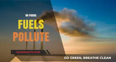 Fossil Fuels: A Polluting Legacy