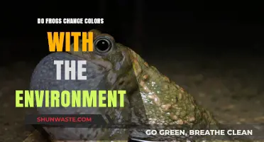 How Frogs Adapt: Do They Change Colors with Their Environment?