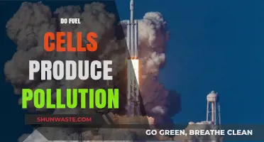 Fuel Cells: Pollution or Clean Energy?