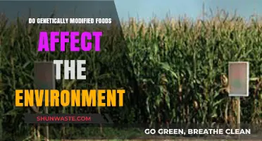 Genetically Modified Foods: Environmental Impact and Sustainability Concerns