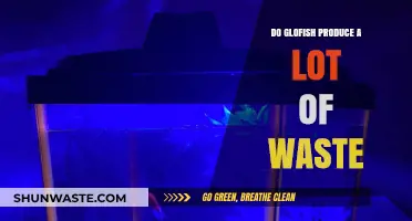 GloFish Waste Production: How Much Do They Really Produce?